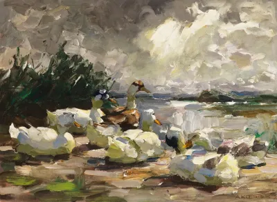 Enten Am Ufer Schone Wolkenstimmung