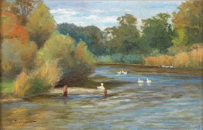 Enten Am Weiher 2