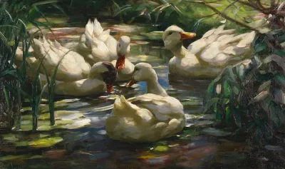 Enten Auf Dem Waldweiher