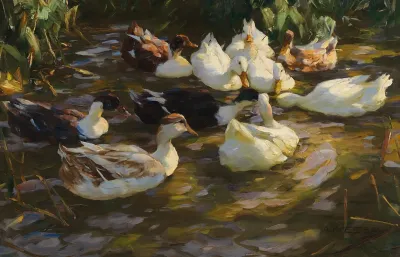Enten Im Teich Enten Am Bach
