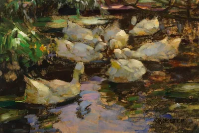Enten Im Wasser Ohne Sonne