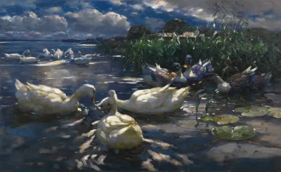 Enten Reichenau