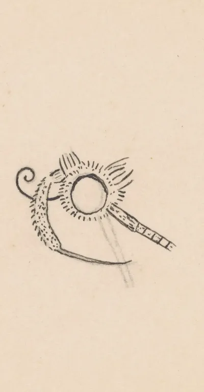 Entomology Watercolour Pl 166