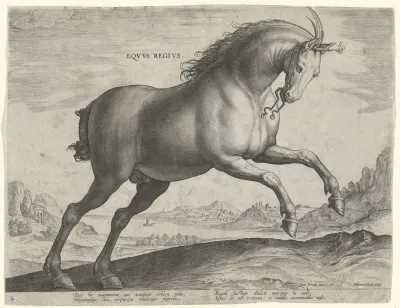 Equus Regius