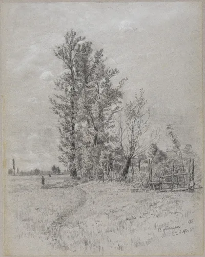 Erlen Und Weiden Bei Bottenau