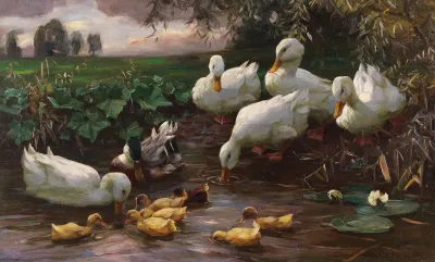 Erpel Mit Enten Und Kuken Am Seeufer