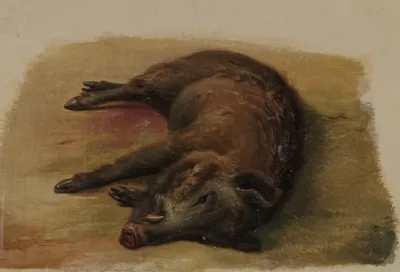 Erschossener Eber