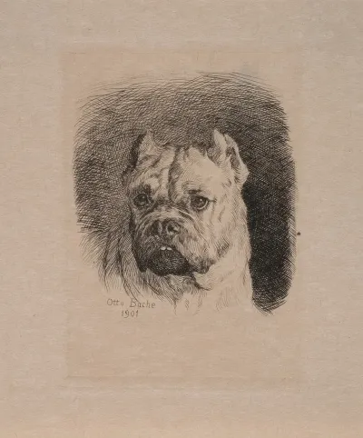 Et Hundehoved 3