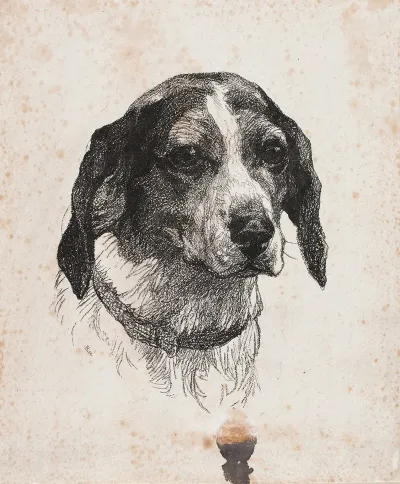 Et Hundehoved