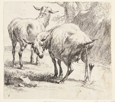 Et Staende Og Et Pissende Far
