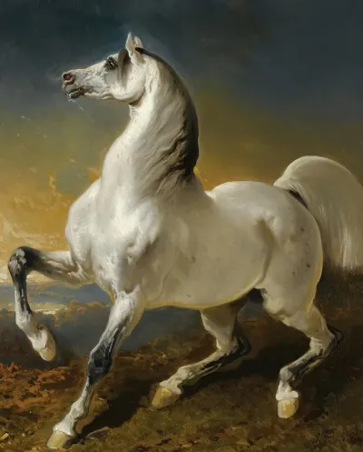 Etalon Gris Effraye Par Lorage