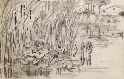 Etang Avec Des Nenuphars Et Des Roseaux