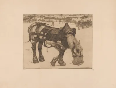 Etend Ploegpaard