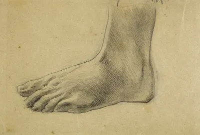Etude Anatomique Pied Gauche A Plat