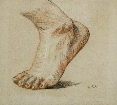 Etude Anatomique Pied Gauche Appuye Sur La Pointe