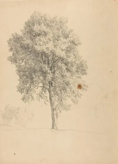 Etude Darbre 2