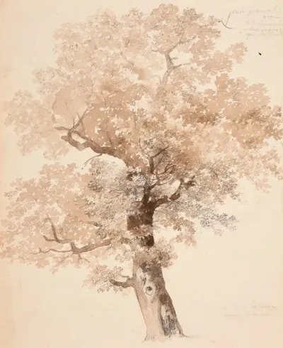 Etude Darbre 3