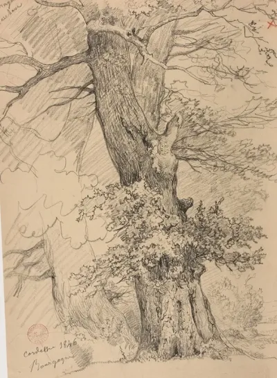 Etude Darbre 5