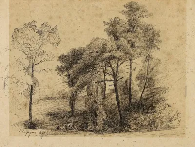 Etude Darbres 3