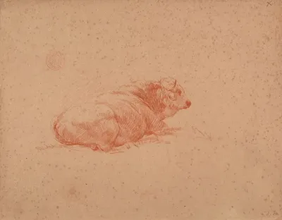 Etude De Boeuf Couche