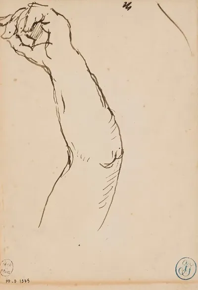 Etude De Bras 3