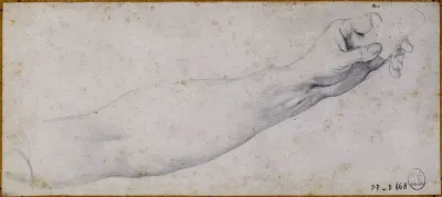 Etude De Bras 4