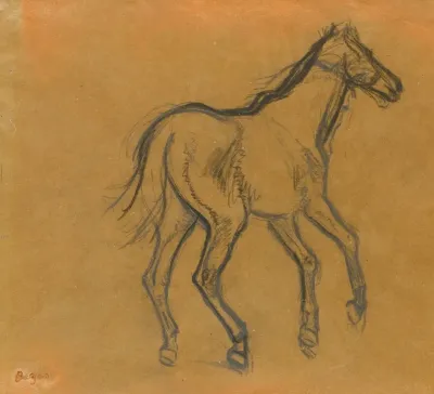 Etude De Cheval