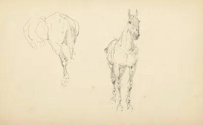 Etude De Chevaux 2