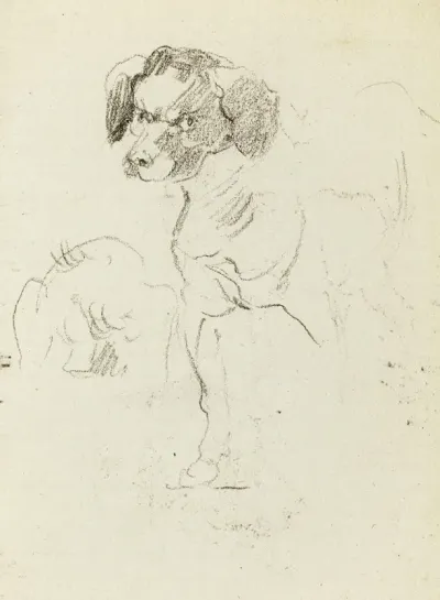 Etude De Chien