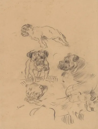 Etude De Chiens