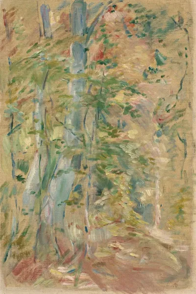 Etude De Foret