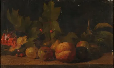 Etude De Fruits