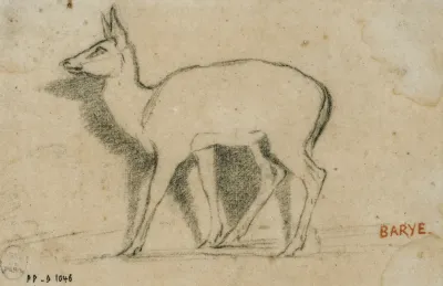 Etude De Gazelle Debout A Gauche
