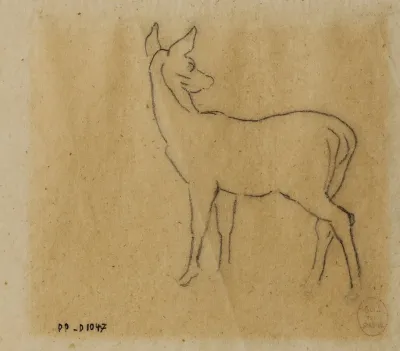 Etude De Gazelle
