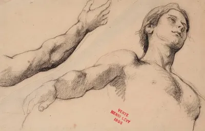 Etude De Jeune Homme En Buste Et Etude Dun Bras