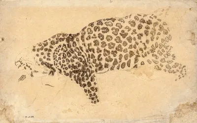 Etude De Leopard