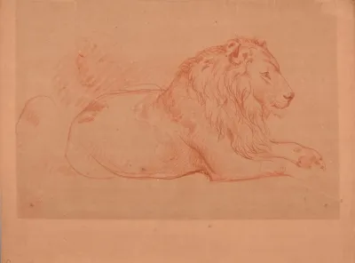 Etude De Lion Couche 2