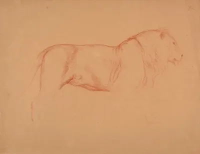 Etude De Lion