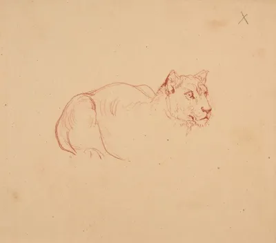 Etude De Lionne 2