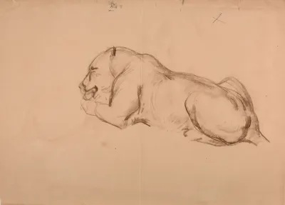 Etude De Lionne