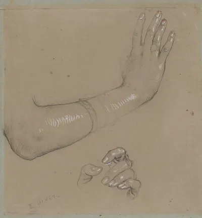 Etude De Main Et De Doigts