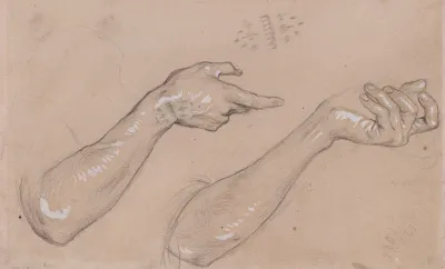 Etude De Mains 4