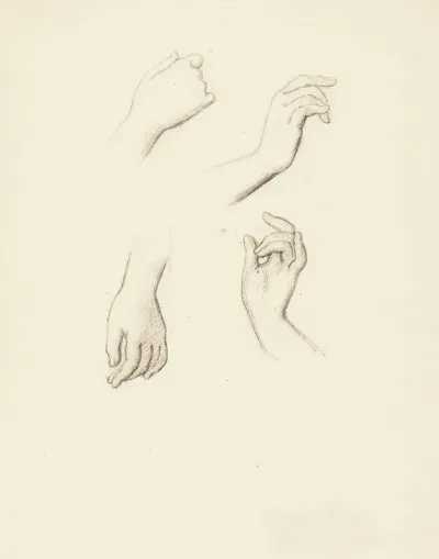 Etude De Mains Iv