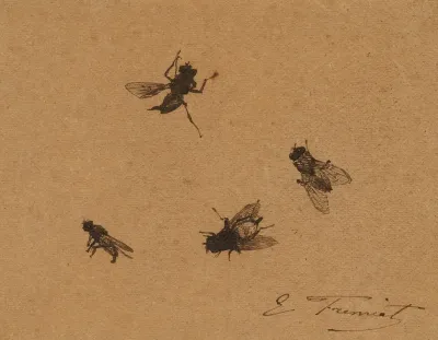 Etude De Mouches