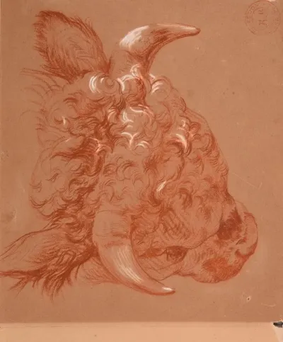Etude De Tete De Boeuf