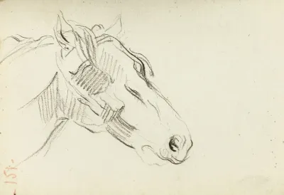 Etude De Tete De Cheval