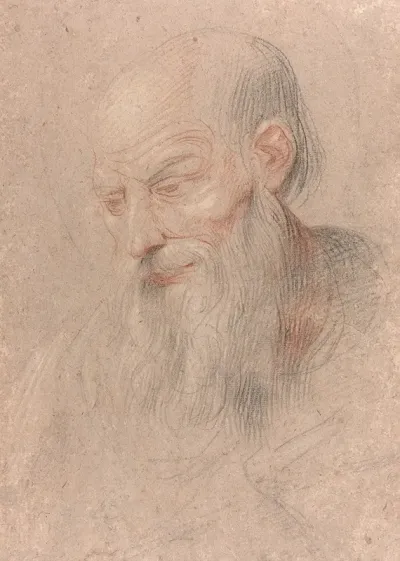 Etude De Tete Dhomme Barbu