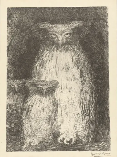 Etude De Trois Chouettes