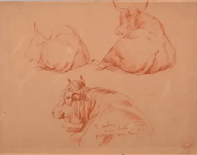 Etude De Trois Vaches Couchees