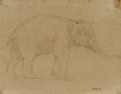 Etude Delephant Marchant